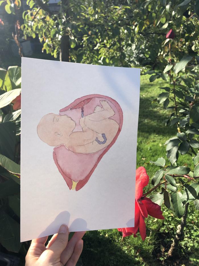 Aquarelle d'un bébé lové dans l'utérus, tenue devant un jardin en fleurs
